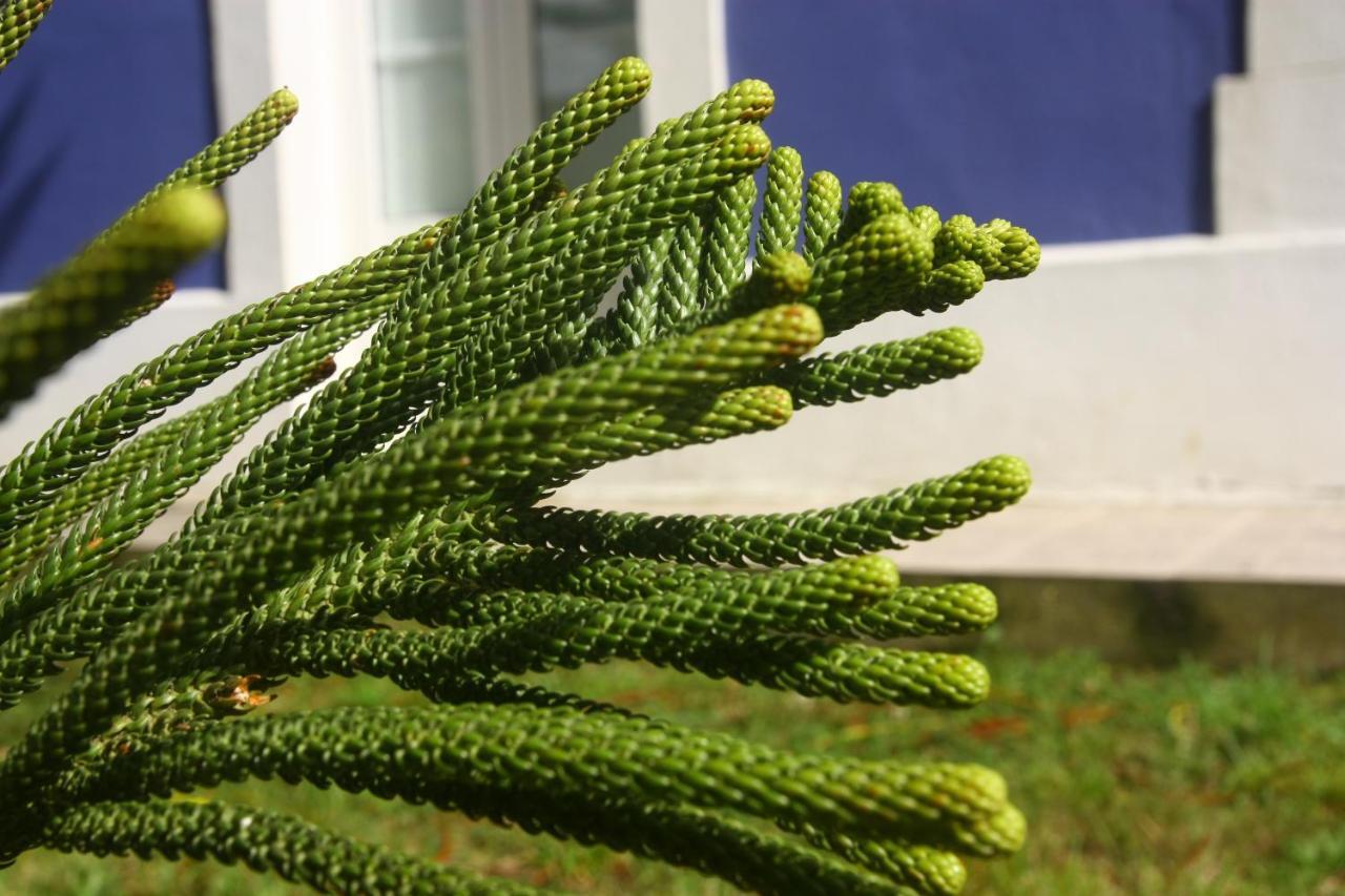 Hotel Gastronomico Araucaria Ribadeo Εξωτερικό φωτογραφία